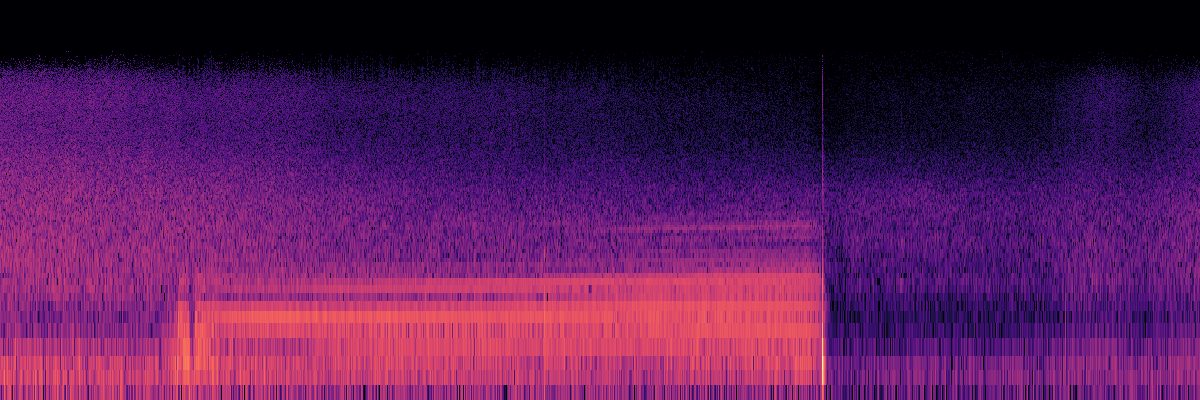 Spectrogram: Moth Wingbeats